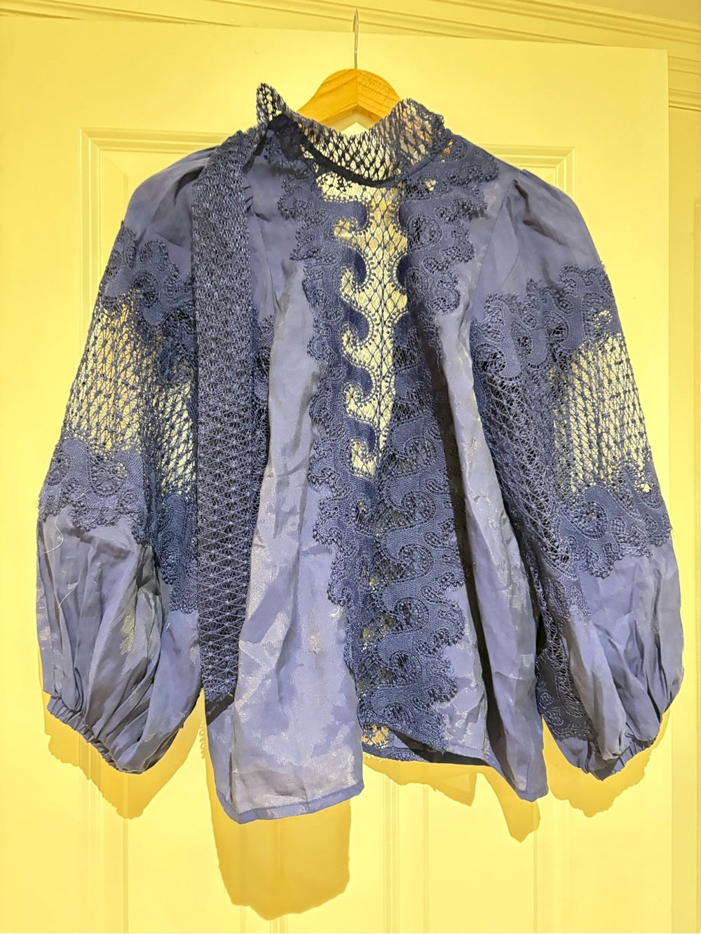 Lace & Mesh Puff Sleeve Blouse in Blue